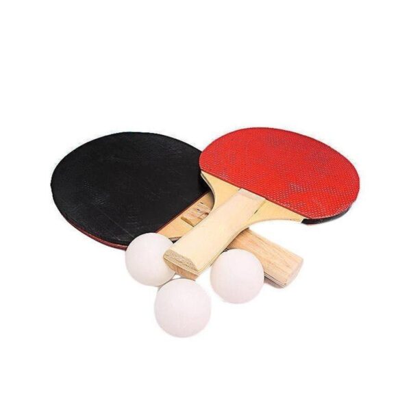 CHAMPION BEGINNER TABLE-TENNIS RACKET - SINGLE RACKET